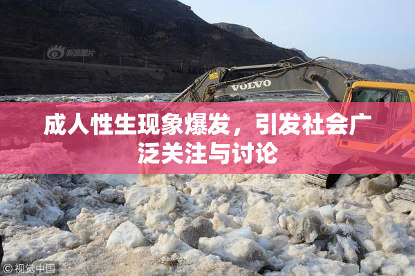 成人性生现象爆发，引发社会广泛关注与讨论