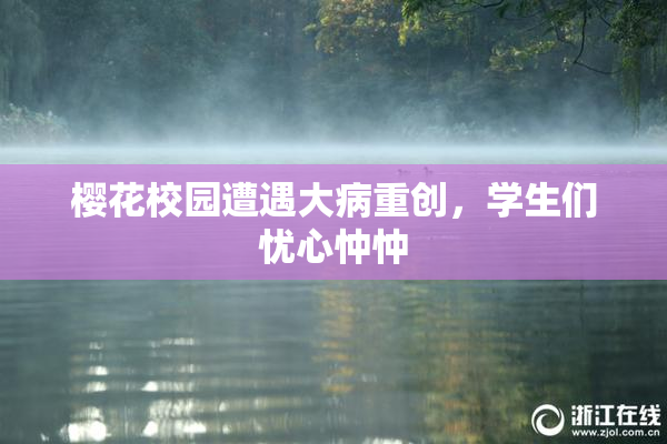 樱花校园遭遇大病重创，学生们忧心忡忡