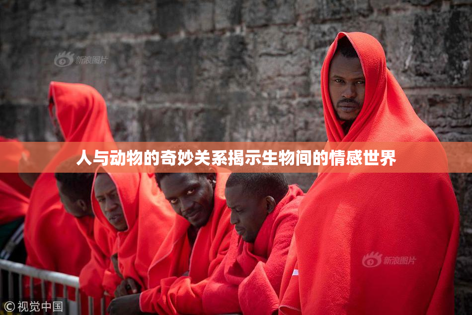 人与动物的奇妙关系揭示生物间的情感世界