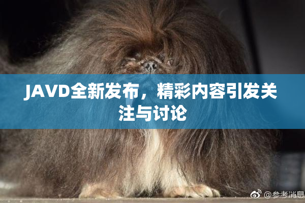JAVD全新发布，精彩内容引发关注与讨论