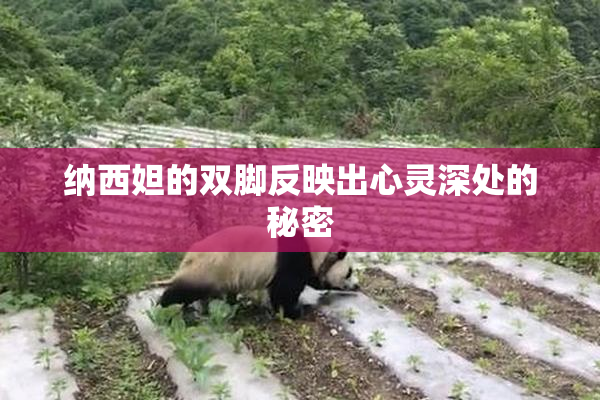 纳西妲的双脚反映出心灵深处的秘密