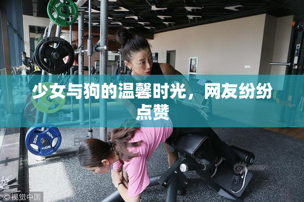 少女与狗的温馨时光，网友纷纷点赞