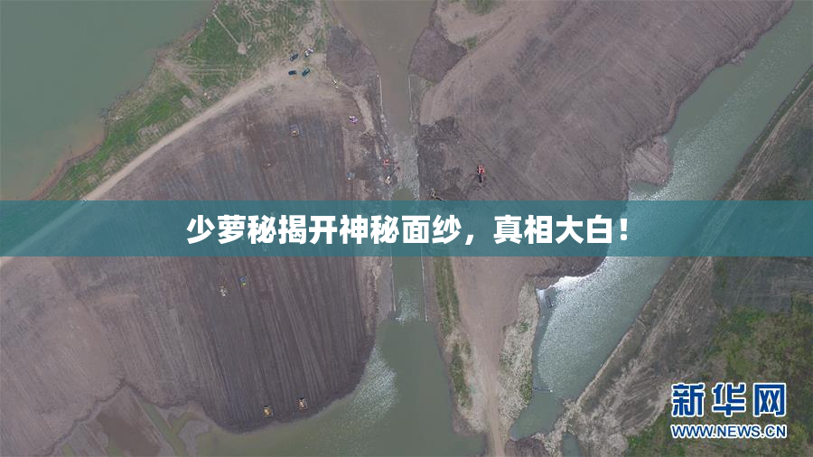 少萝秘揭开神秘面纱，真相大白！