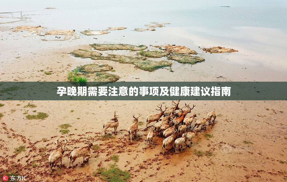 孕晚期需要注意的事项及健康建议指南