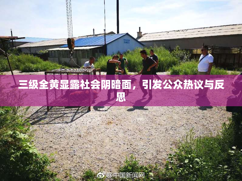 三级全黄显露社会阴暗面，引发公众热议与反思