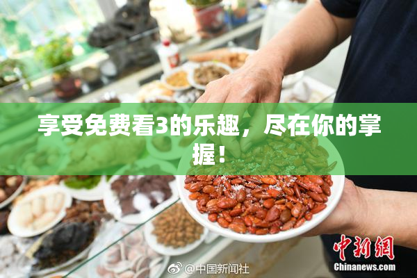 享受免费看3的乐趣，尽在你的掌握！