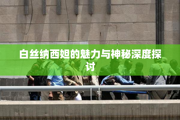 白丝纳西妲的魅力与神秘深度探讨