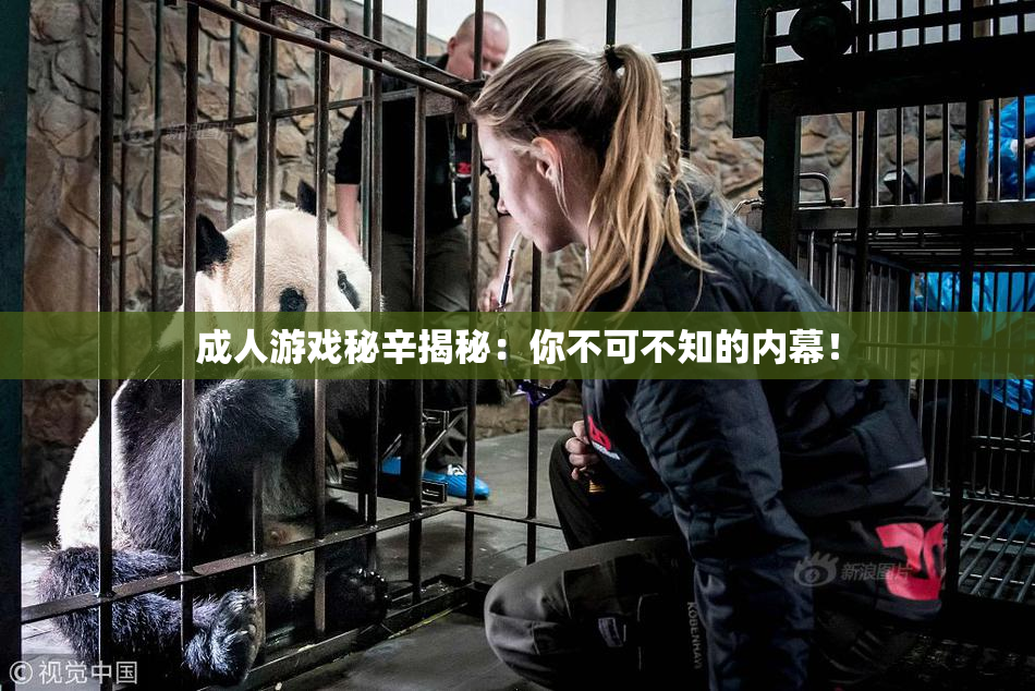 成人游戏秘辛揭秘：你不可不知的内幕！
