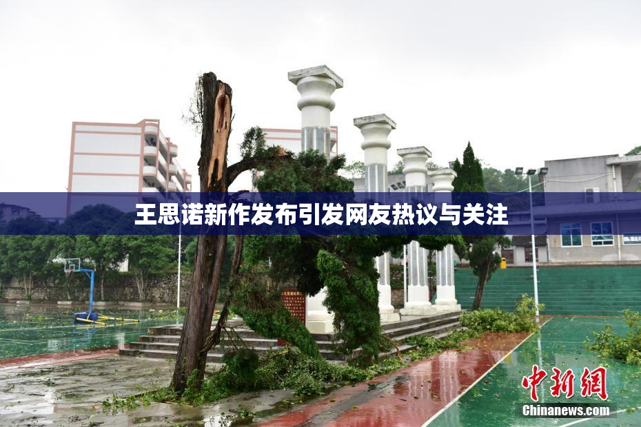 王思诺新作发布引发网友热议与关注