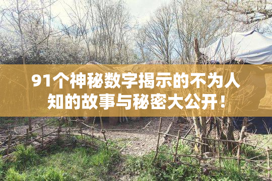 91个神秘数字揭示的不为人知的故事与秘密大公开！