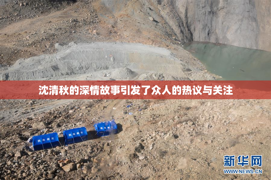 沈清秋的深情故事引发了众人的热议与关注