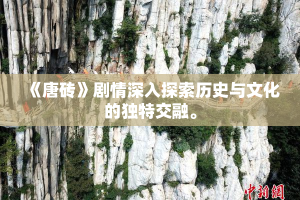 《唐砖》剧情深入探索历史与文化的独特交融。