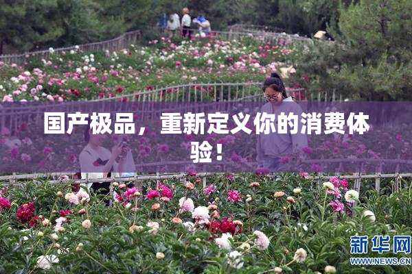 国产极品，重新定义你的消费体验！