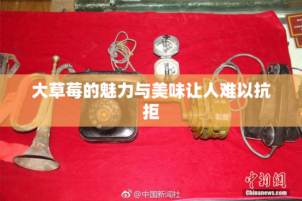 大草莓的魅力与美味让人难以抗拒