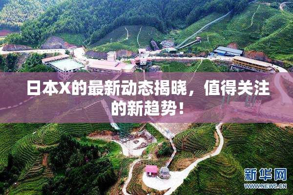 日本X的最新动态揭晓，值得关注的新趋势！