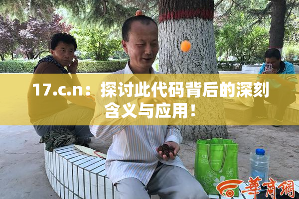17.c.n：探讨此代码背后的深刻含义与应用！