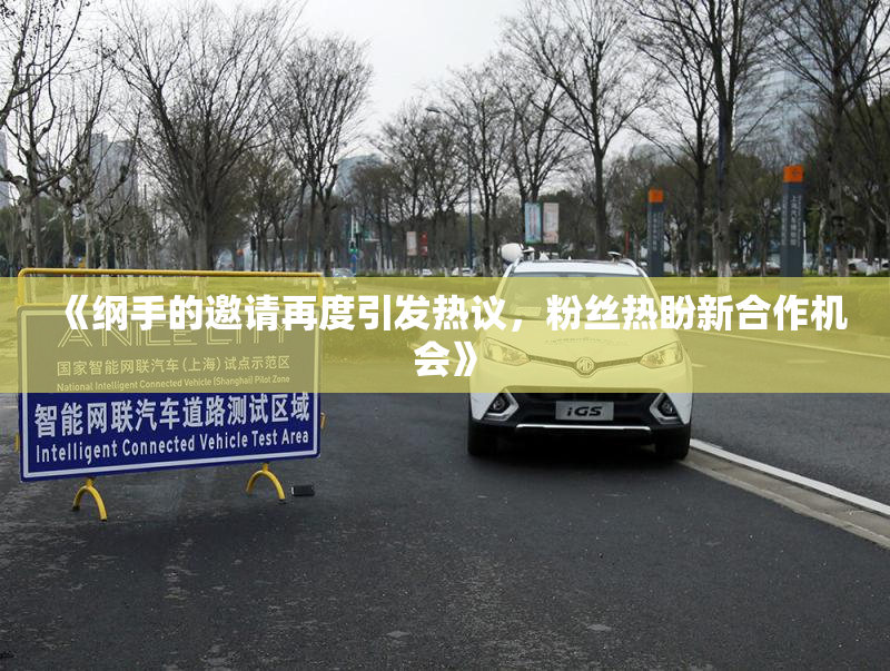 《纲手的邀请再度引发热议，粉丝热盼新合作机会》