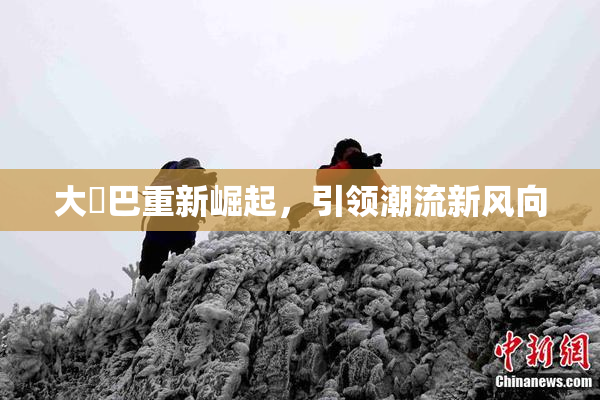 大鳮巴重新崛起，引领潮流新风向