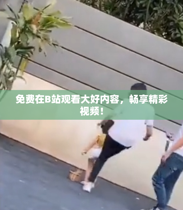 免费在B站观看大好内容，畅享精彩视频！