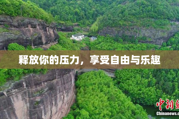 释放你的压力，享受自由与乐趣