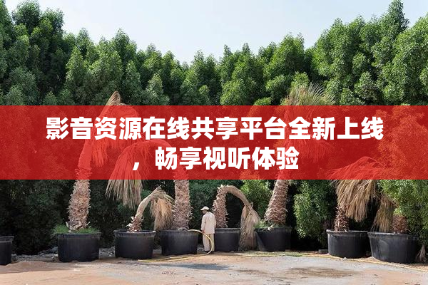 影音资源在线共享平台全新上线，畅享视听体验