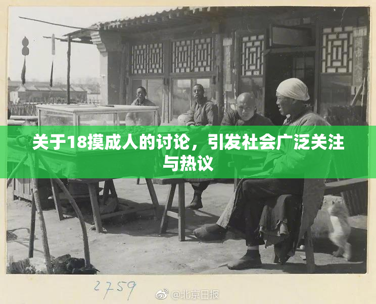 关于18摸成人的讨论，引发社会广泛关注与热议