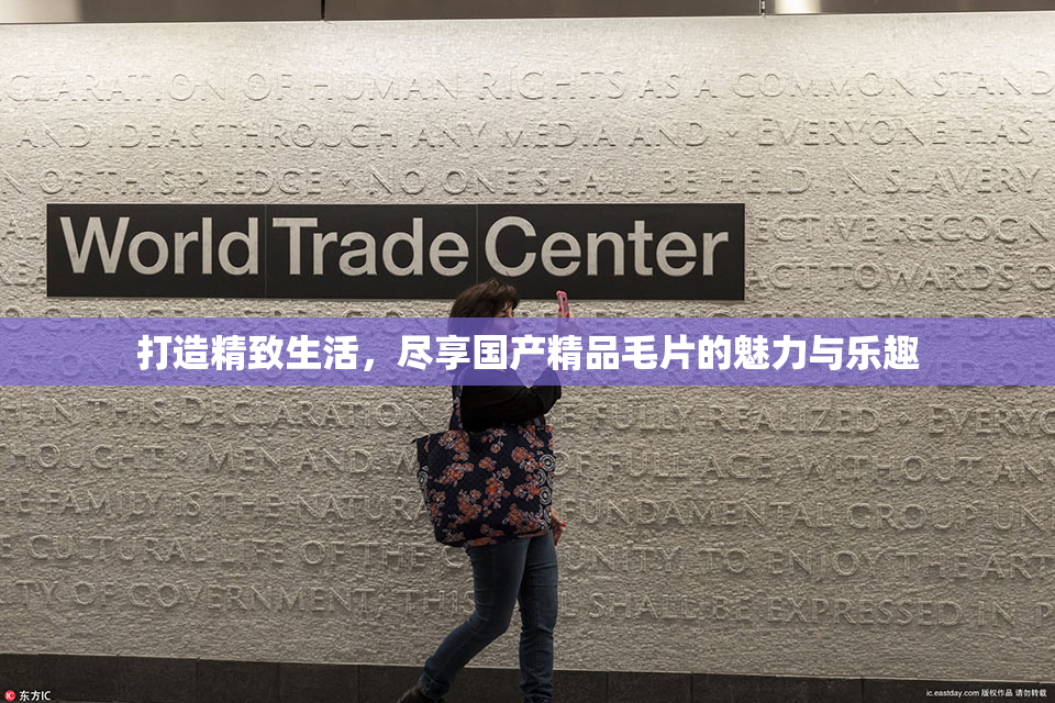 打造精致生活，尽享国产精品毛片的魅力与乐趣