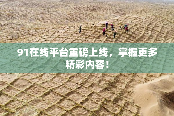 91在线平台重磅上线，掌握更多精彩内容！