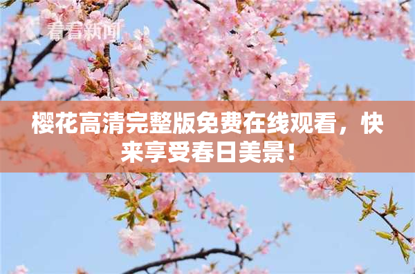 樱花高清完整版免费在线观看，快来享受春日美景！