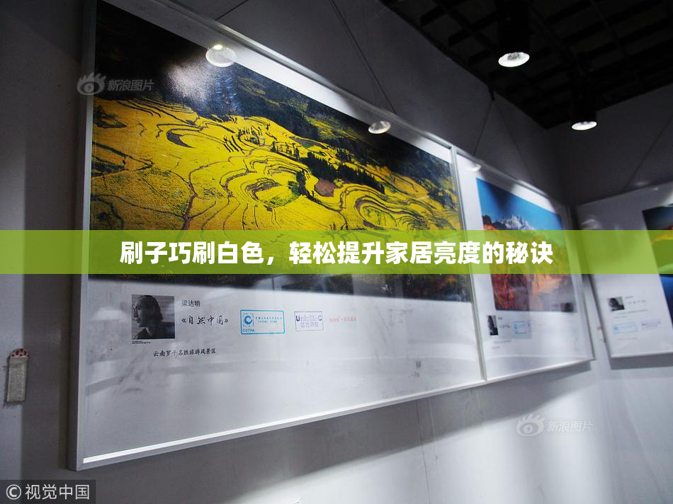 刷子巧刷白色，轻松提升家居亮度的秘诀