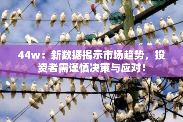 44w：新数据揭示市场趋势，投资者需谨慎决策与应对！
