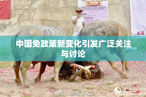 中国免政策新变化引发广泛关注与讨论