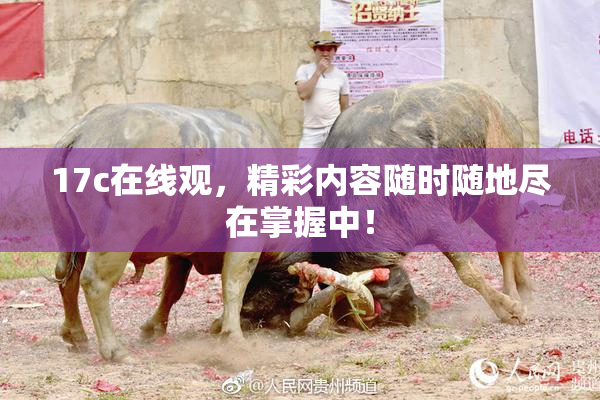 17c在线观，精彩内容随时随地尽在掌握中！