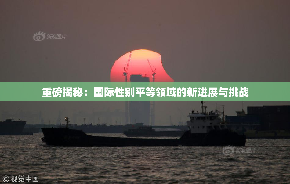 重磅揭秘：国际性别平等领域的新进展与挑战