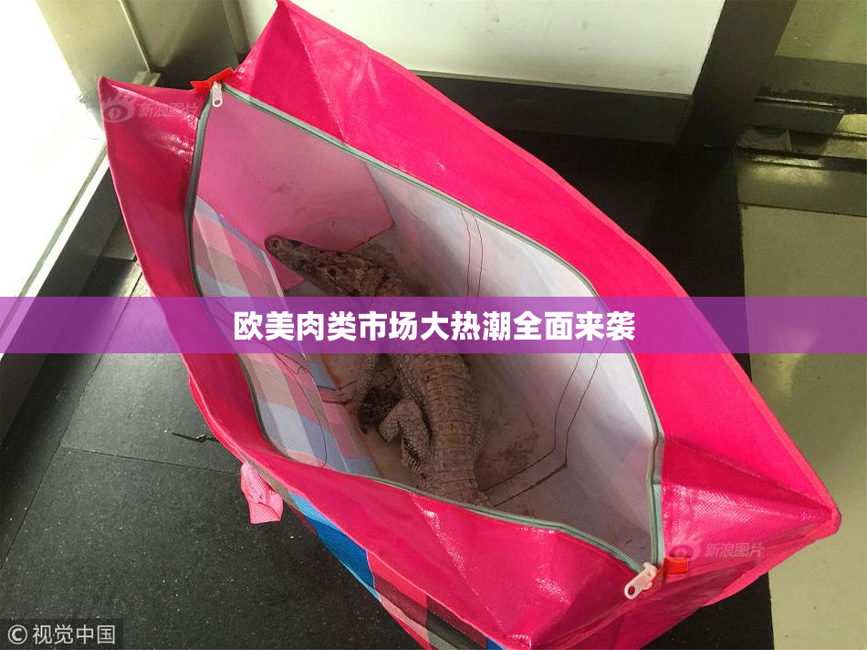 欧美肉类市场大热潮全面来袭