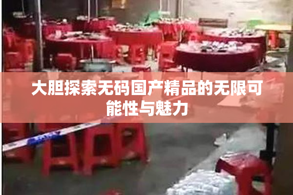 大胆探索无码国产精品的无限可能性与魅力