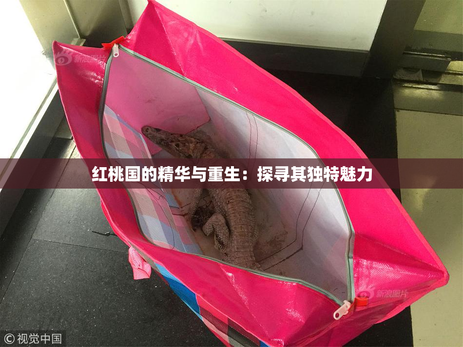 红桃国的精华与重生：探寻其独特魅力