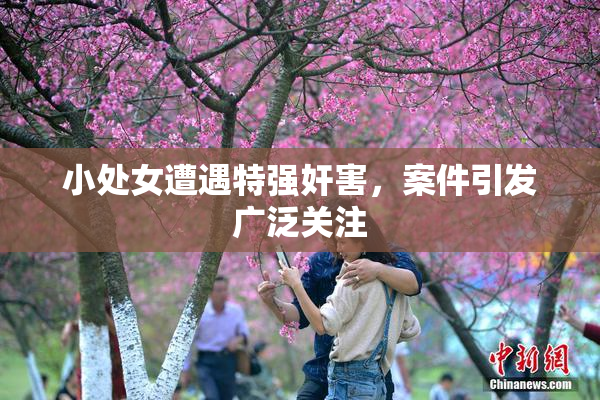小处女遭遇特强奸害，案件引发广泛关注