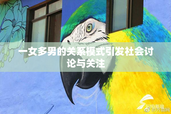 一女多男的关系模式引发社会讨论与关注