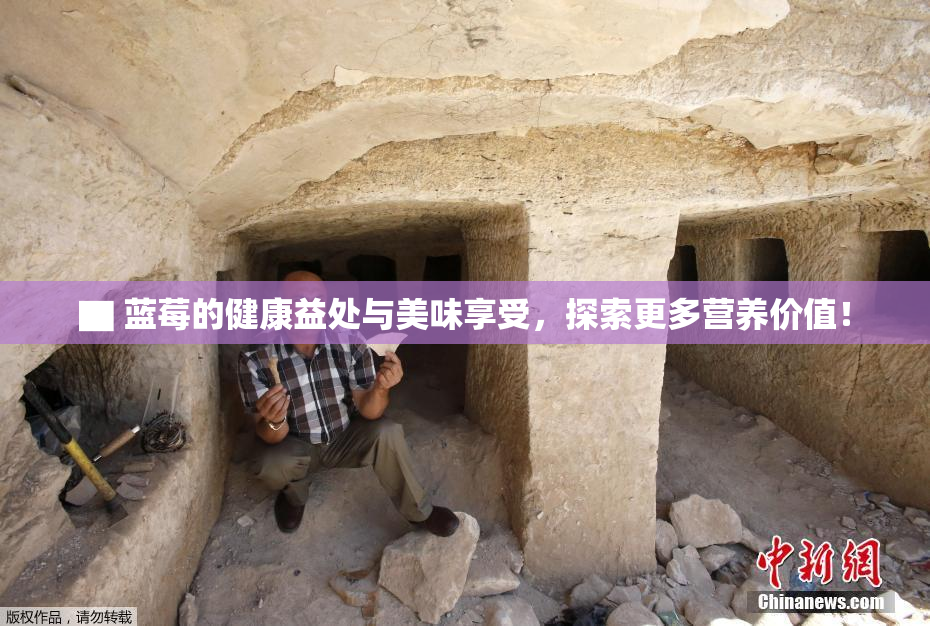 ▇ 蓝莓的健康益处与美味享受，探索更多营养价值！