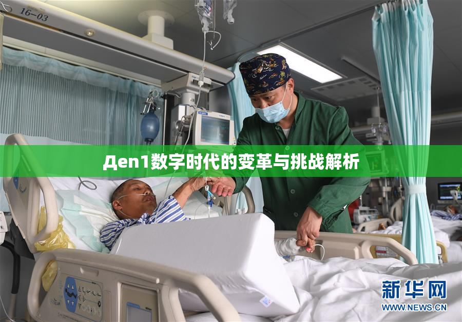 Дen1数字时代的变革与挑战解析