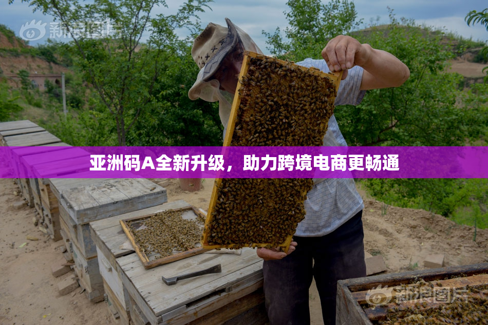 亚洲码A全新升级，助力跨境电商更畅通