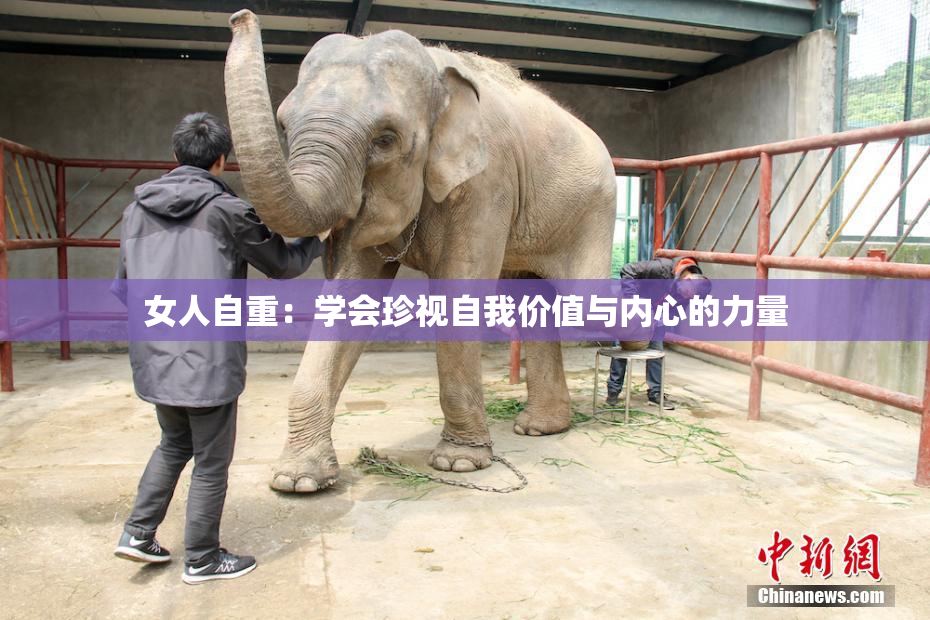 女人自重：学会珍视自我价值与内心的力量