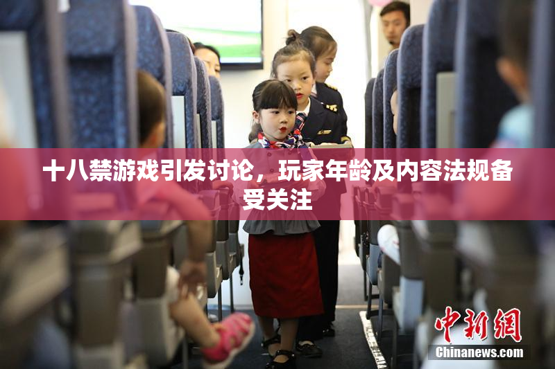 十八禁游戏引发讨论，玩家年龄及内容法规备受关注
