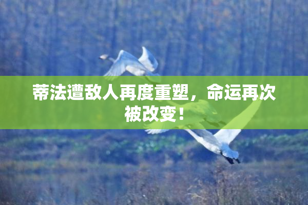 蒂法遭敌人再度重塑，命运再次被改变！