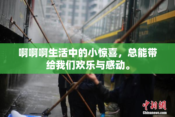 啊啊啊生活中的小惊喜，总能带给我们欢乐与感动。
