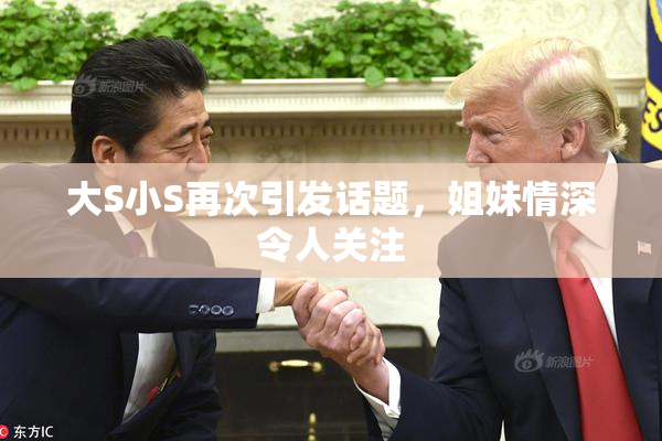 大S小S再次引发话题，姐妹情深令人关注