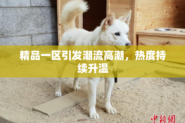 精品一区引发潮流高潮，热度持续升温