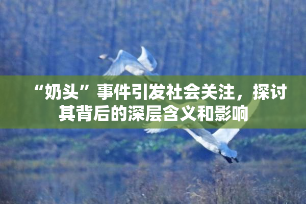 “奶头”事件引发社会关注，探讨其背后的深层含义和影响