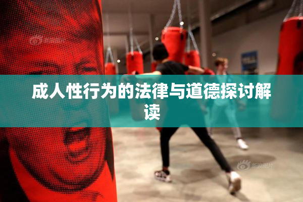 成人性行为的法律与道德探讨解读